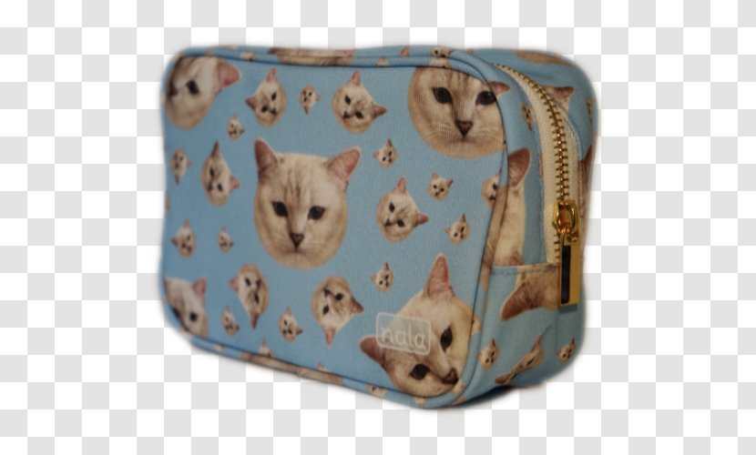 Kitten Handbag Whiskers - Small To Medium Sized Cats Transparent PNG