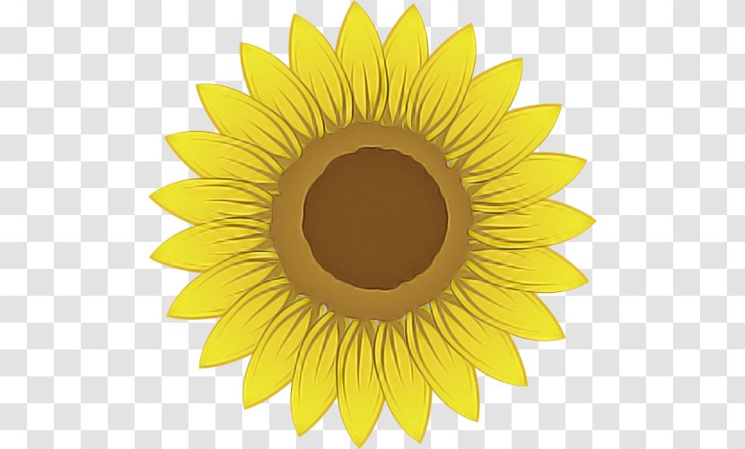 Sunflower - Iris - Petal Transparent PNG