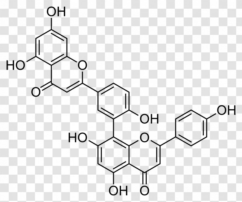 Amentoflavone Biflavonoid Chaste Tree Apigenin - Flavones - Cytochrome P450 Transparent PNG