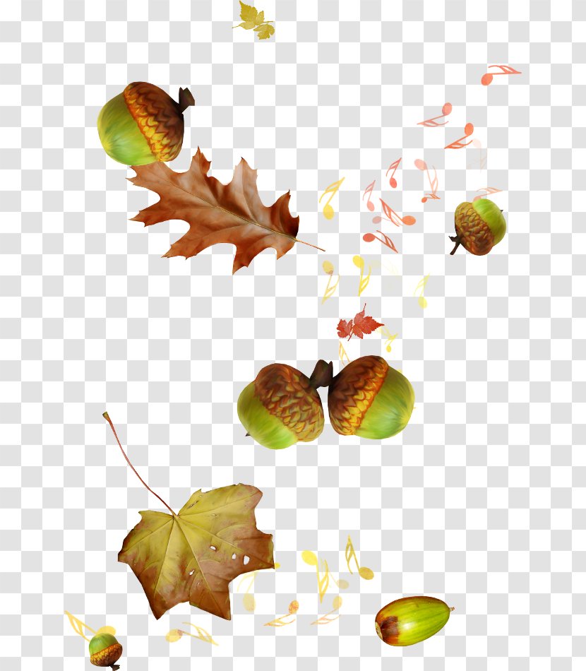 Autumn Clip Art - Heart - Echinacea Notes Transparent PNG