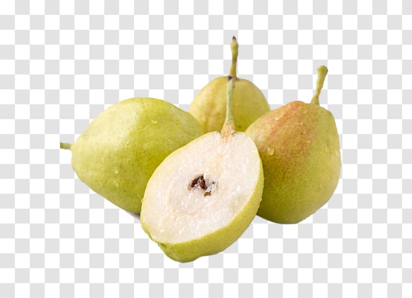 Korla Asian Pear Pyrus Nivalis Crisp Fruit - Sweetness Transparent PNG