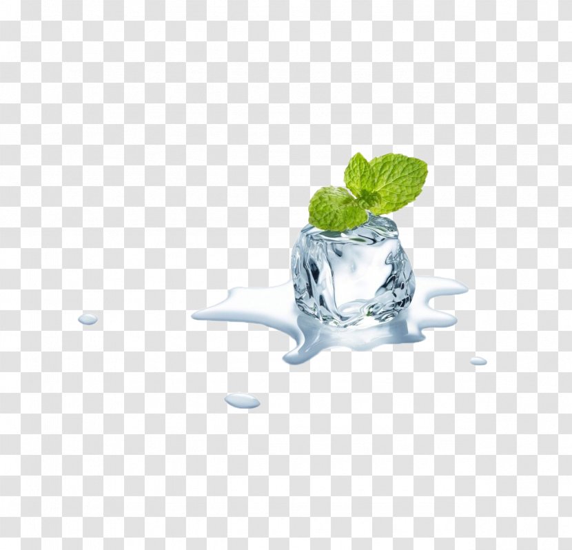 Mentha Spicata Electronic Cigarette Aerosol And Liquid Ice Menthol - Bubble Gum - Mint Leaves Cubes Transparent PNG