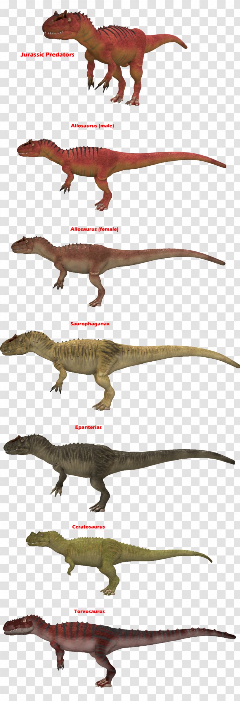 Velociraptor Allosaurus Saurophaganax Torvosaurus Epanterias - Predation - Dinosaur Transparent PNG