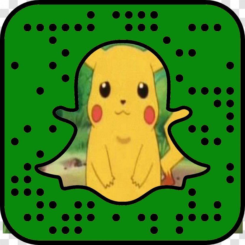 Snapchat Social Media Female Millennials Photography - Flower - Pokemon Go Transparent PNG