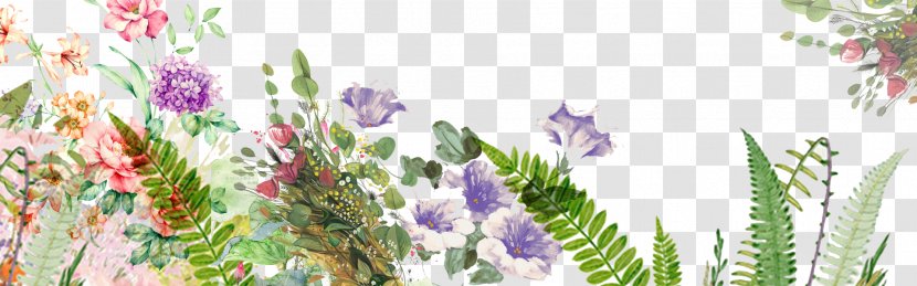 Floral Design Flower - Background Transparent PNG