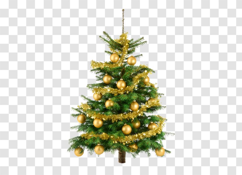 Christmas Tree Gift Fir - Holiday Transparent PNG