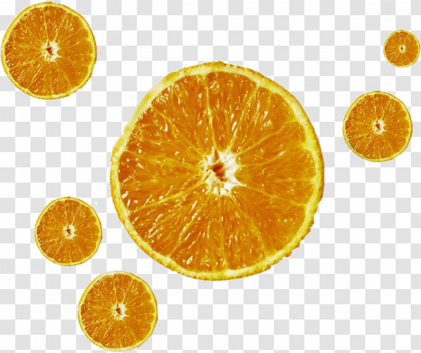 Clementine Mandarin Orange Tangerine Tangelo - Sweet-scented Transparent PNG