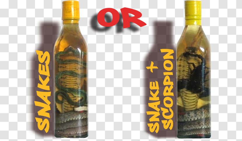 Liqueur Snake Wine Distilled Beverage - Luang Pa Barng Transparent PNG