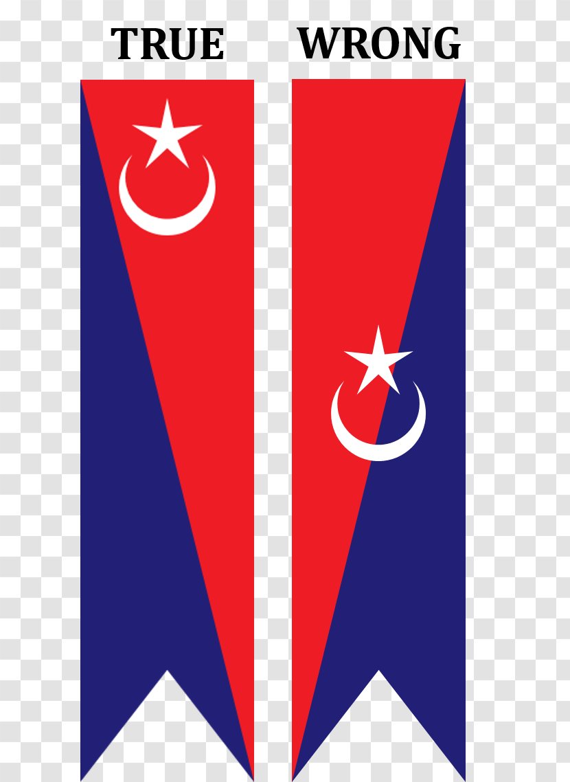 Flag Of Bosnia And Herzegovina Chile National - Signage Transparent PNG