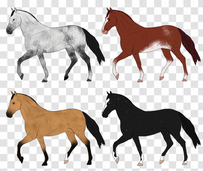 Mustang Foal Mare Stallion Pony - Horse Tack Transparent PNG