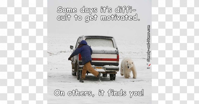 Polar Bear Humour Winter Image - Tree - Chasing Slapstick Transparent PNG