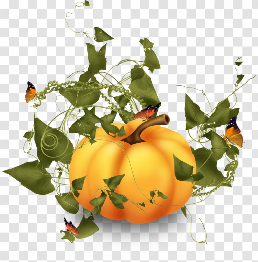 Pumpkin Squash Vegetable - Yandex Search - Tube Transparent PNG