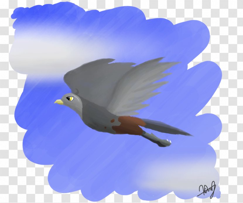 Eagle Fauna Beak Feather Sky Plc - Bird Of Prey - Summer Day Transparent PNG