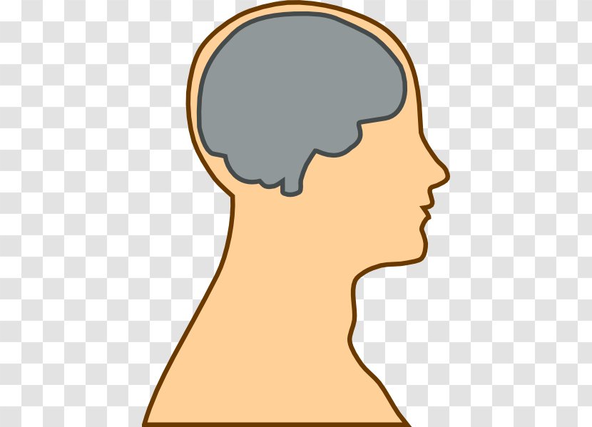 Human Brain Head Clip Art - Silhouette - Pictures Of Lepercons Transparent PNG