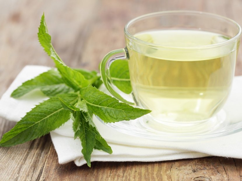 Peppermint Tea Coffee Herbal - Green - Pepermint Transparent PNG