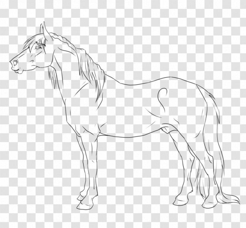 Mule Foal Stallion Bridle Colt - Horse - Paint Sky Transparent PNG