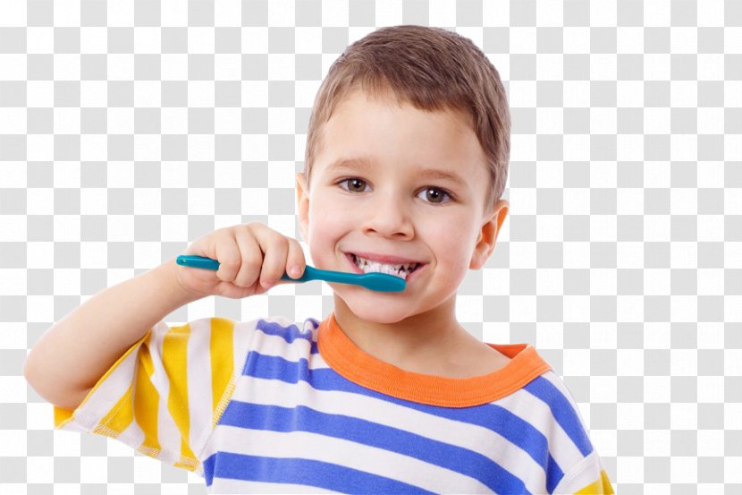 Tooth Brushing Child Human Pediatric Dentistry - Teeth Cleaning Transparent PNG