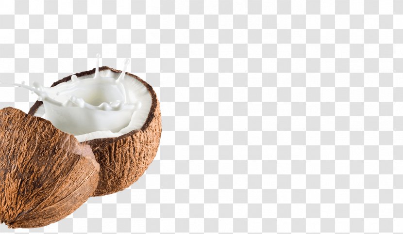 Coconut Water Milk Powder Transparent PNG