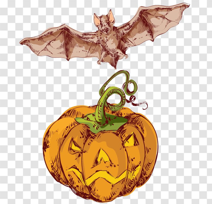 Pumpkin Calabaza Halloween Winter Squash - Produce - Bats Transparent PNG