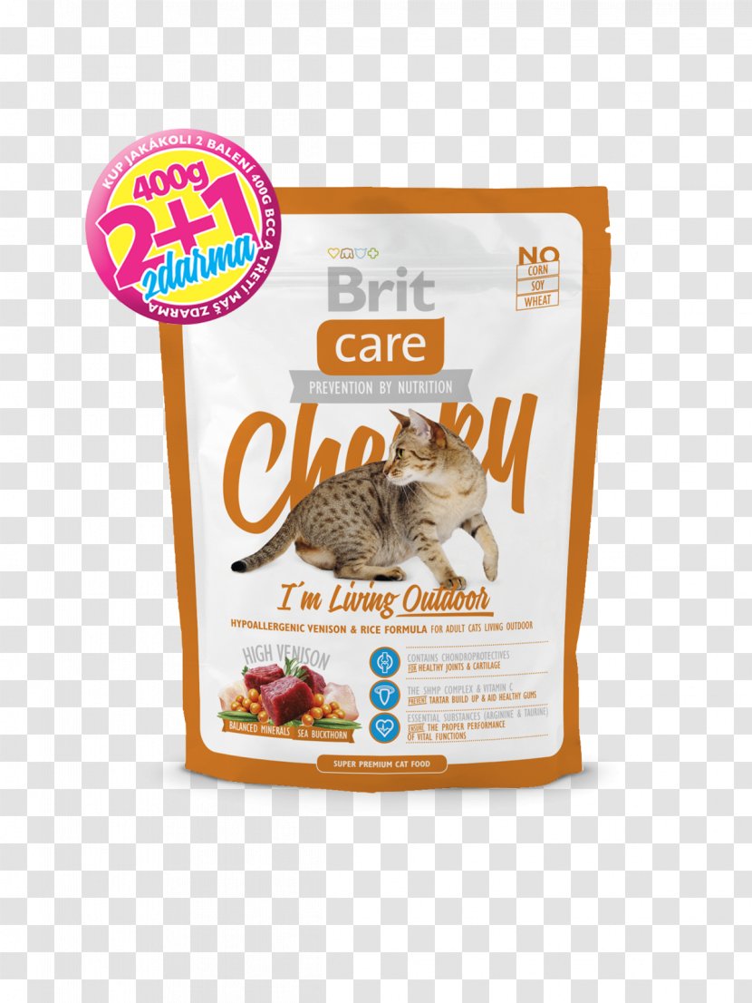 Cat Food Kitten Pet Senior Cats - Flavor Transparent PNG