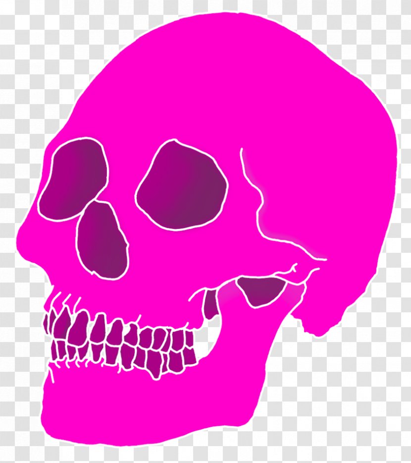 Aesthetics II Skull Clip Art - Jaw - Aesthetic Transparent PNG