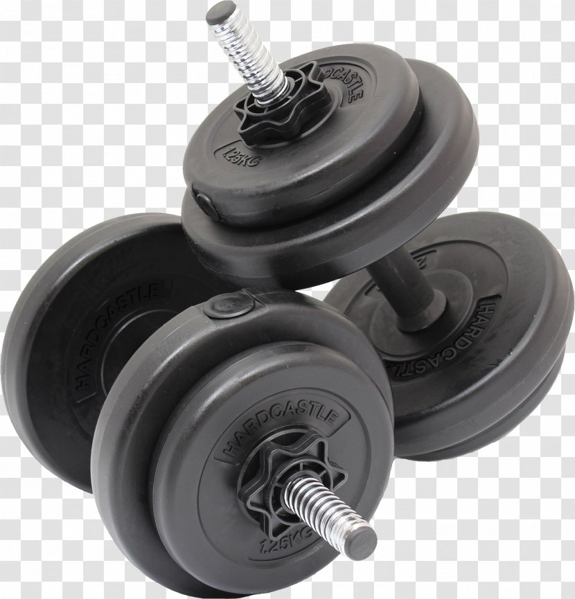 Dumbbell Weight Training Physical Exercise Total Gym Fitness Centre - Tire - Hantel Transparent PNG