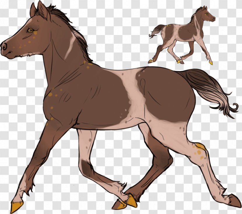 Mustang Foal Stallion Mare Colt - Cartoon Transparent PNG