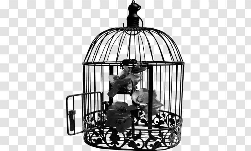 Cage Bird Wire - Monochrome Transparent PNG