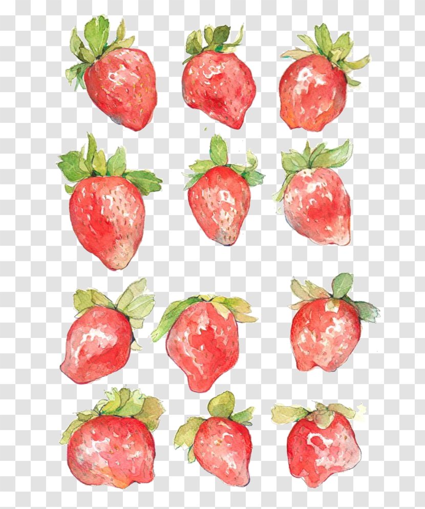 Watercolor Painting Aedmaasikas Illustration - Fruit - Hand-painted Strawberry Transparent PNG