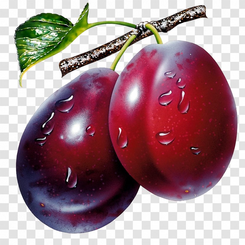 Plum Clip Art - Computer Graphics - Prunes Clipart Picture Transparent PNG