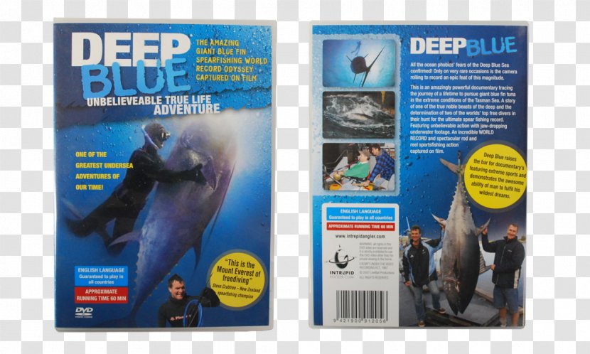 Advertising DVD - Tasman Sea Transparent PNG