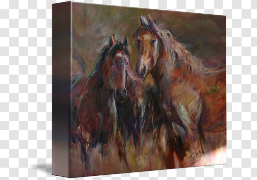 Mustang Watercolor Painting Stallion Mare - Gallery Wrap - Wild Horse Transparent PNG