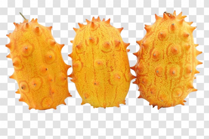 Horned Melon Photography - Food - Horn Of Africa Transparent PNG