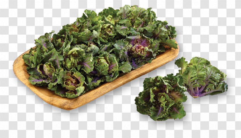 Kalette Brussels Sprout Seed Vegetable - Leaf Transparent PNG