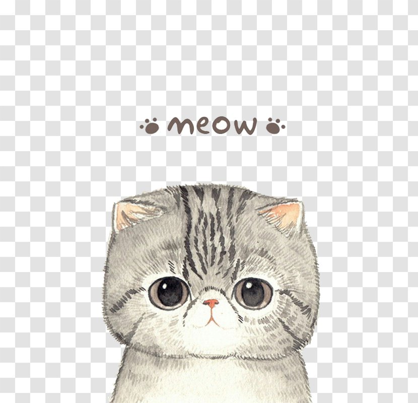 IPhone X Huawei P10 P9 Cat Kitten - Whiskers - Shy Transparent PNG
