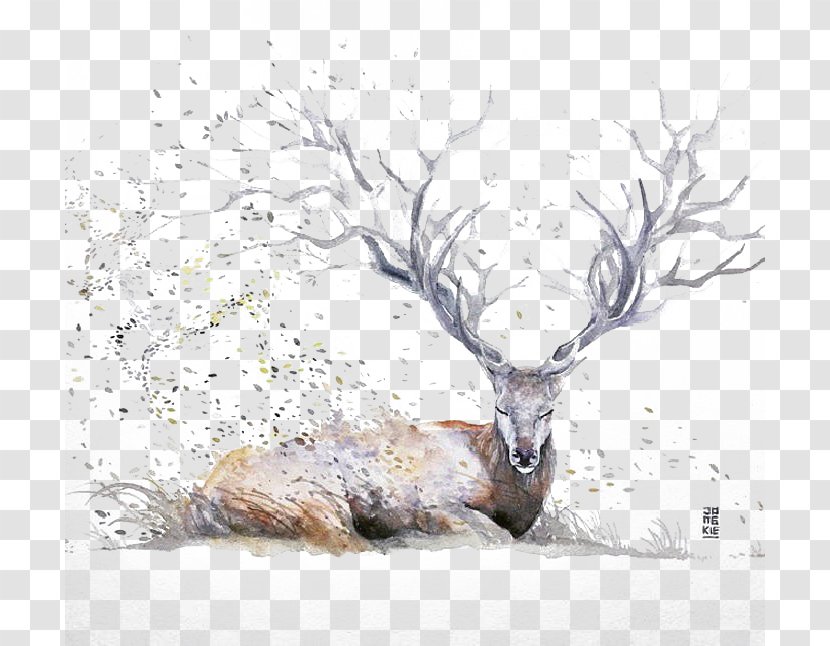 Watercolor Painting Drawing Artist Illustration - Color - Ink Deer Transparent PNG