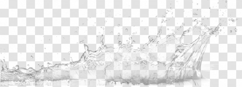 Drawing Black And White Monochrome Photography Sketch - Water Wave Transparent PNG