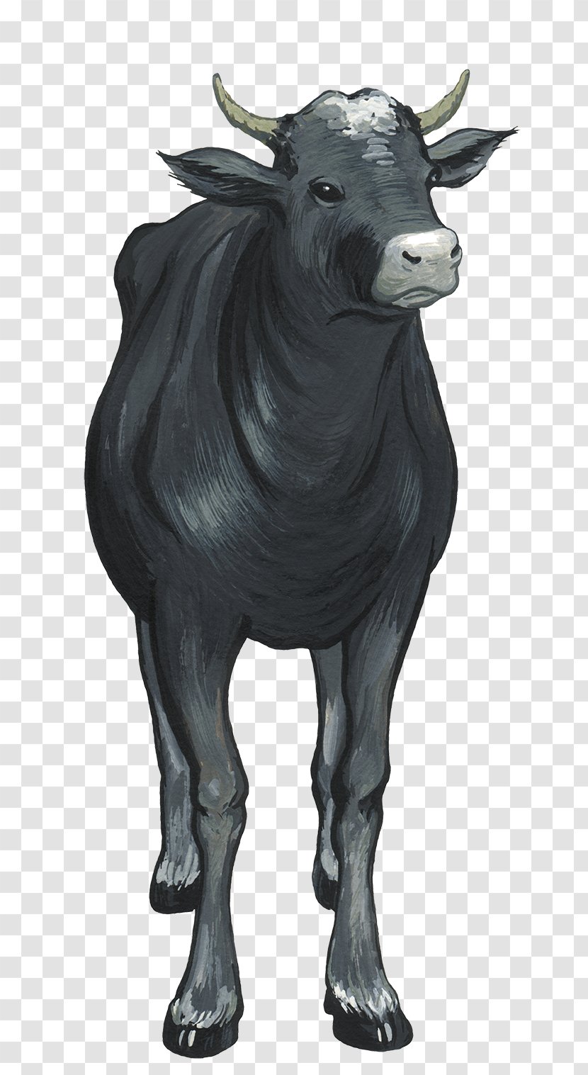 Bull Cattle - Like Mammal - HD Hand-drawn Vector Black Transparent PNG