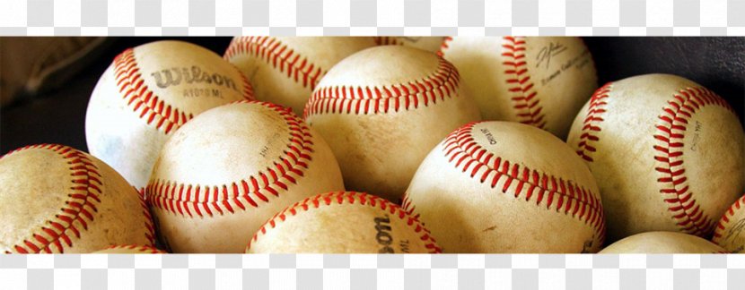 Baltimore Orioles Baseball Sports Softball Desktop Wallpaper - League Transparent PNG