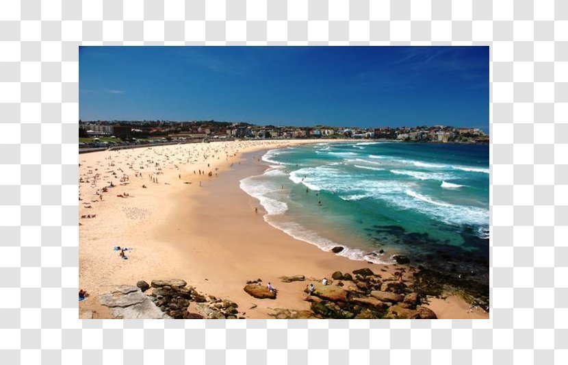 Bondi Beach Junction Sydney Central Business District 1907 Bathing Costume Protests - Sand Transparent PNG