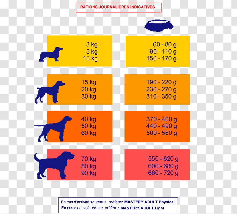 Color Scheme Paint Yellow Chart - Diagram Transparent PNG