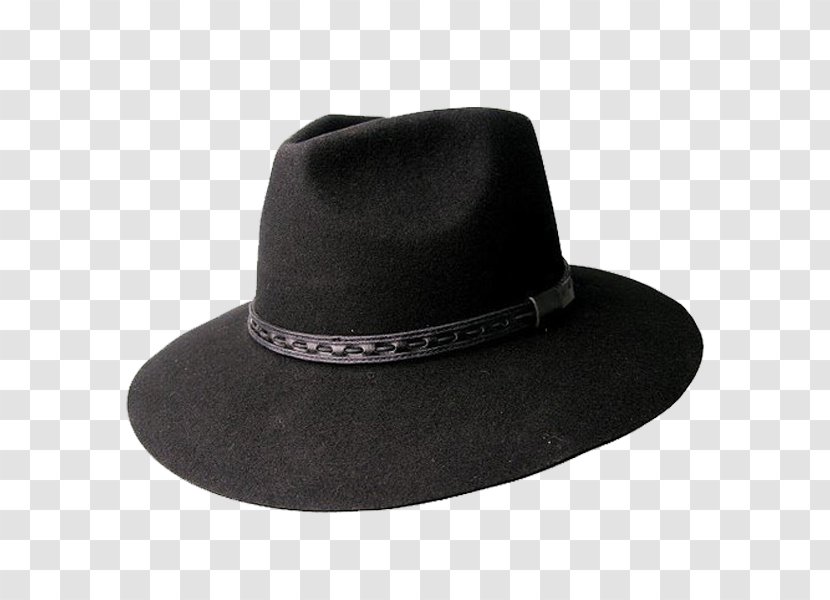 Fedora Hat Wool Trilby Stetson - Clothing - Women's Hats Transparent PNG