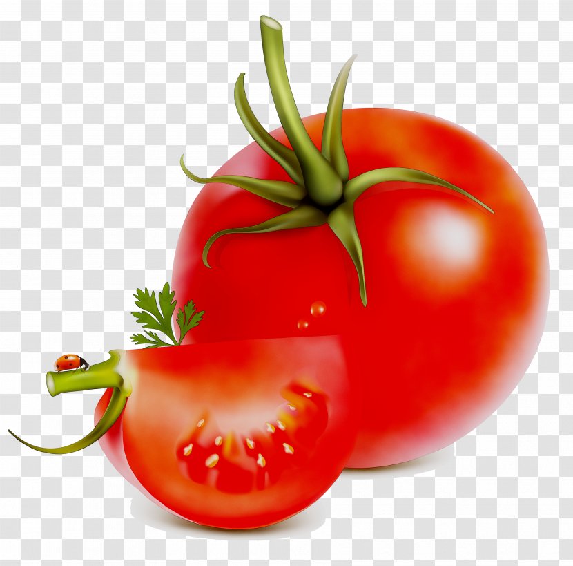 Plum Tomato Food Peperoncino Bell Pepper - Bush - Diet Transparent PNG