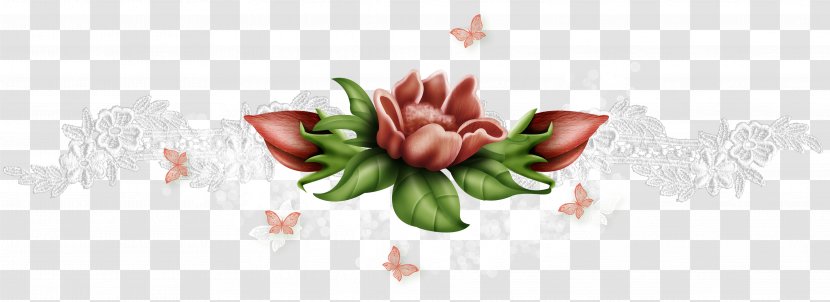 Floral Design Blossom Cut Flowers - Floristry - Petal Transparent PNG