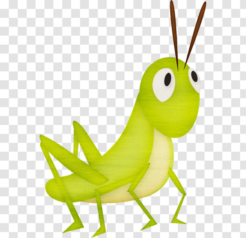 Clip Art Openclipart Grasshopper Insect Image - Organism Transparent PNG