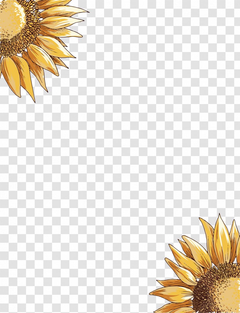 Common Sunflower - Time Travel Fiction - Yellow Transparent PNG