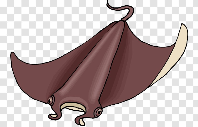 Myliobatoidei Clip Art - Bat - Red Rays Transparent PNG