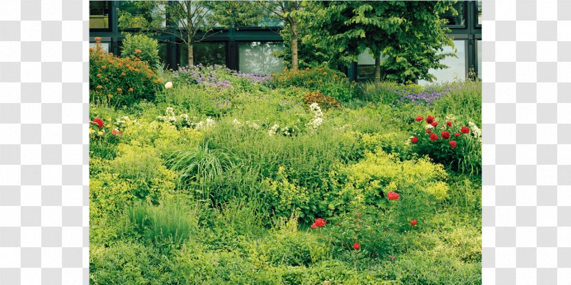 Lars Müller Publishers Landscape Architect Vegetation Shrubland - Landscaping - Tate Modern London Transparent PNG