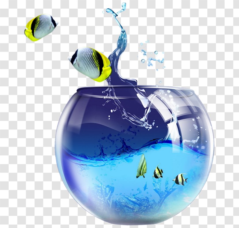 Desktop Wallpaper Macintosh Windows 7 Personal Computer Microsoft - Water - Fighting Fish Bowl Transparent PNG