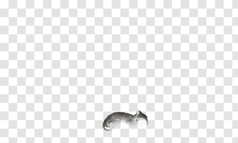 Whiskers Rat Dog Canidae Snout - Fauna Transparent PNG
